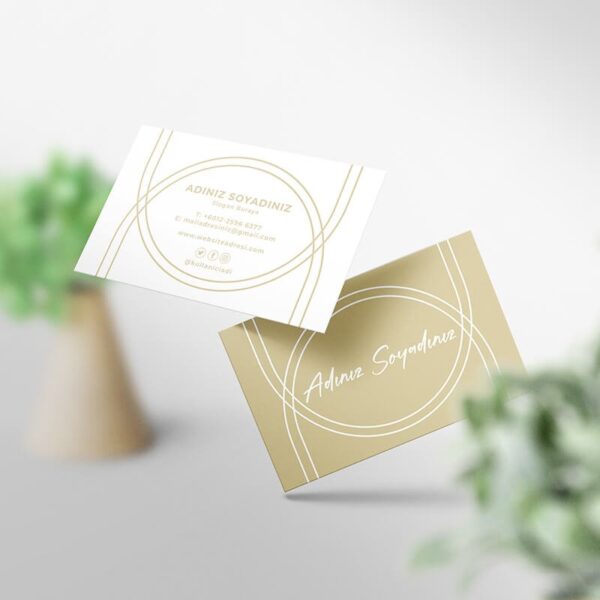 Kartvizit 1000 Adet Tek ve Çift Yönlü (Model M065)