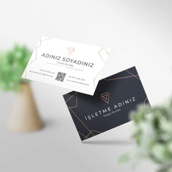 Kartvizit 1000 Adet Baskı (Model M081)