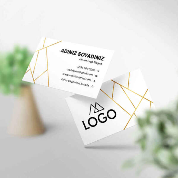 Kartvizit 1000 Adet Baskı M131