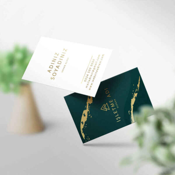 Kartvizit 1000 Adet Baskı M141