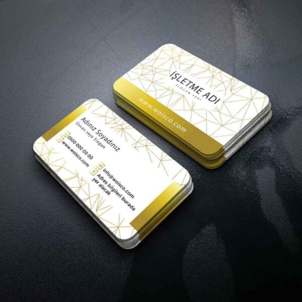 Modern Kartvizit 1000 Adet Baskı M261