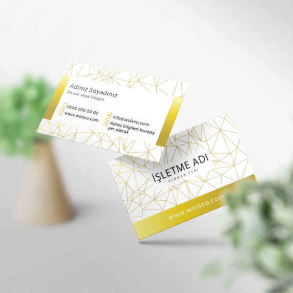 Kartvizit 1000 Adet Baskı M259