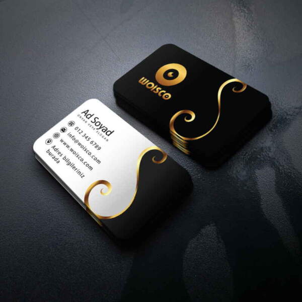 Modern Kartvizit 1000 Adet Baskı M260