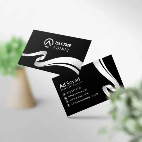 Gümüş Kartvizit 1000 Adet Baskı M214