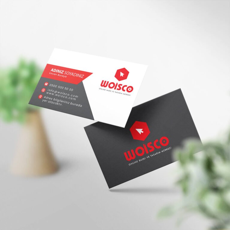 Kartvizit 1000 Adet Baskı (Model M280)