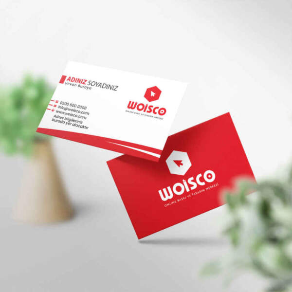 Kartvizit 1000 Adet Baskı / Kartvizit Bastırma M262