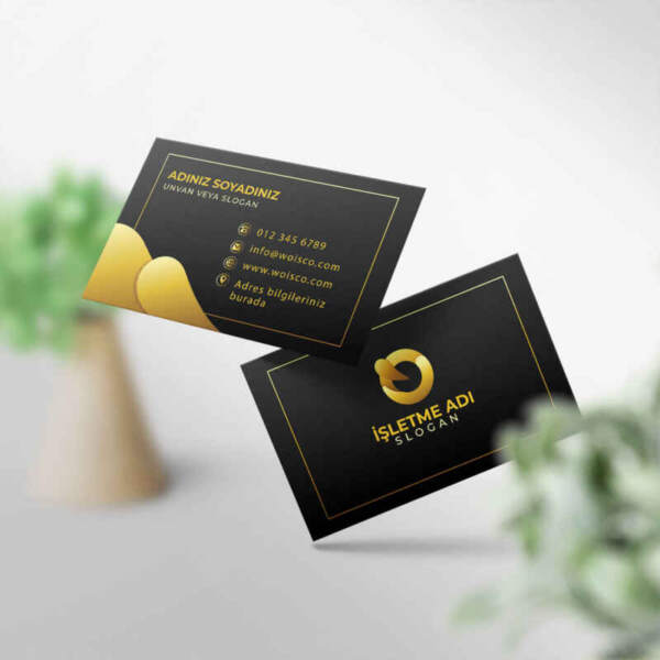 Kartvizit 1000 Adet Baskı M253