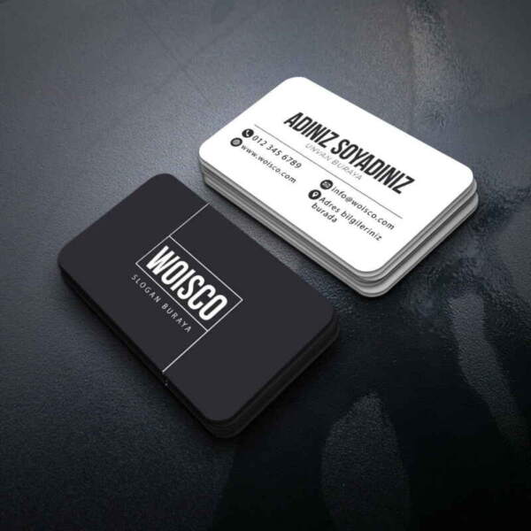 Kartvizit 1000 Adet Baskı M250