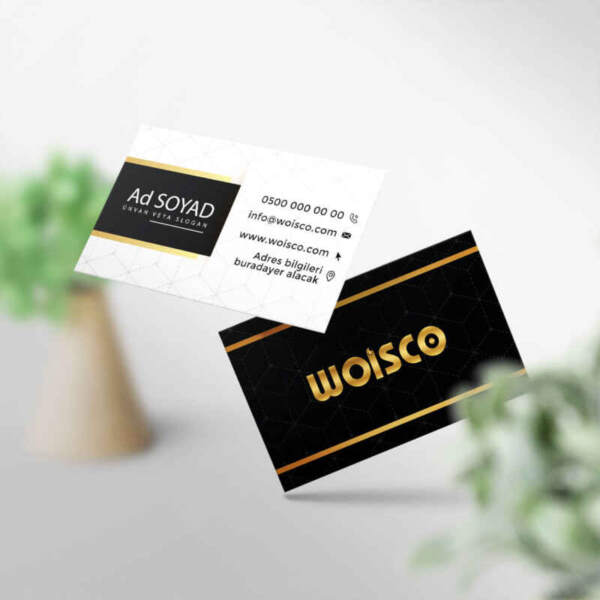 Tek ve Çift Yönlü Kartvizit M241