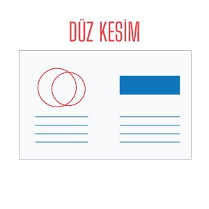 Duz Kesim