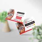 Çilingir Kartvizit 1000 Adet CL001