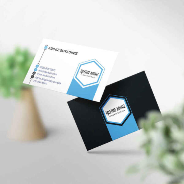 Kartvizit Baskı 1000 Adet (SE0065)