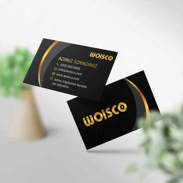 Kartvizit Baskı 1000 Adet (Model CR0047)