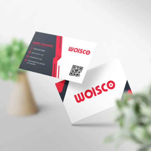 Kartvizit Baskı 1000 Adet CR0063