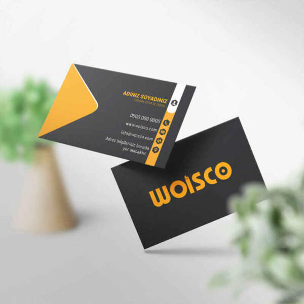 Kartvizit Baskı 1000 Adet CR1064