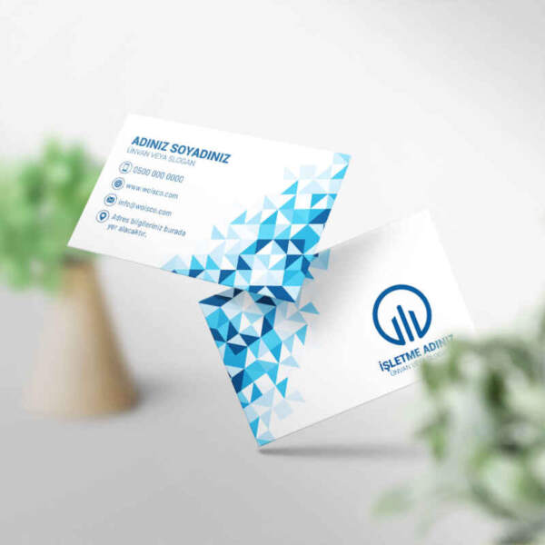 Kartvizit Baskı 1000 Adet (Model CR0066)