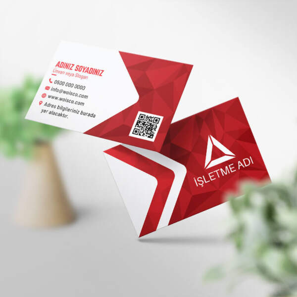 Kartvizit Baskı 1000 Adet (Model Y0111)