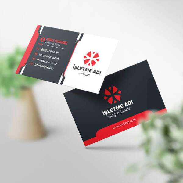 Kartvizit Baskı 1000 Adet (Model Y0119)