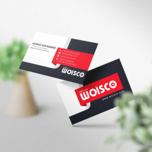 Kartvizit Tek veya Çift Yönlü Baskı (Model Y1621)