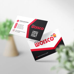 Kartvizit Tek veya Çift Yönlü Baskı (Model Y1625)