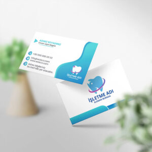 Diş Hekimi Kartvizit Baskı 1000 Adet (MD: DH008)