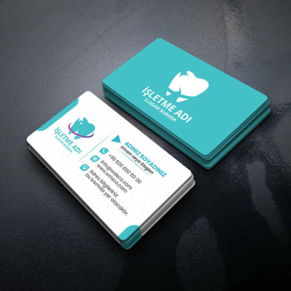 Diş Hekimi Kartvizit Baskı 1000 Adet / Kartvizit Bastırma