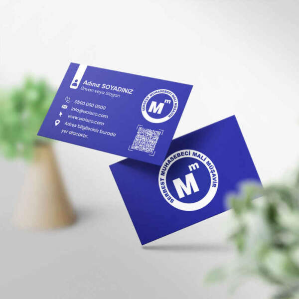 Muhasebeci Kartvizit Baskı 1000 Adet (MD: SM008)