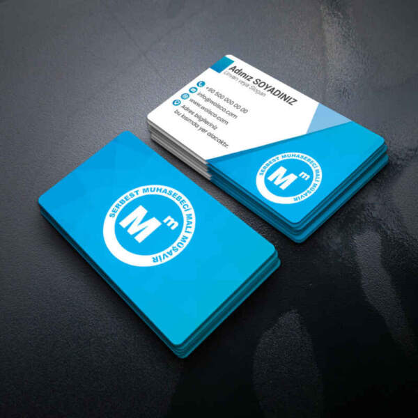 Muhasebeci Kartvizit Baskı 1000 Adet (MD: SM010)