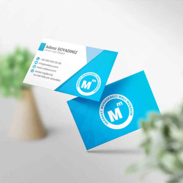 Muhasebeci Kartvizit Baskı 1000 Adet (MD: SM010)