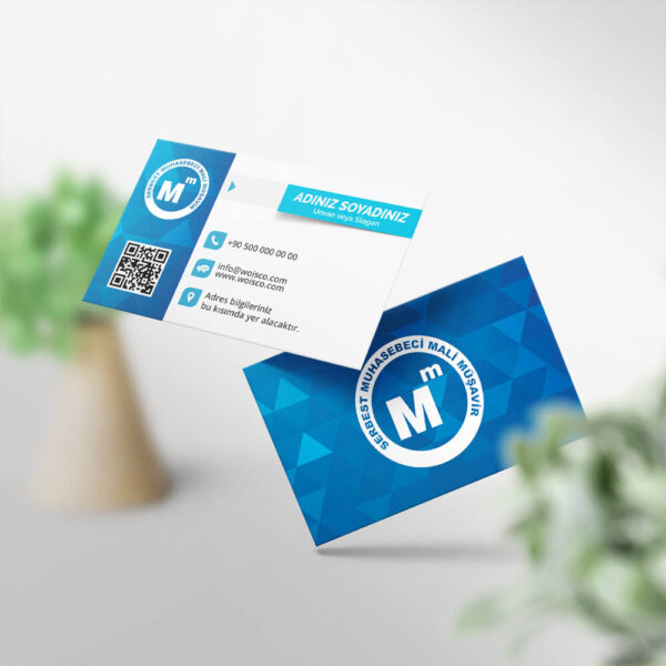 Muhasebeci Kartvizit Baskı 1000 Adet (MD: SM017)