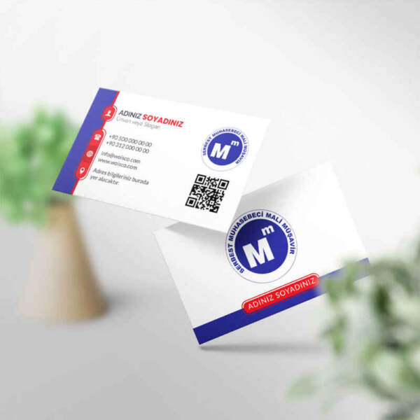 Muhasebeci Kartvizit Baskı 1000 Adet (MD: SM018)