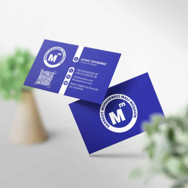 Muhasebeci Kartvizit Baskı 1000 Adet (MD: SM019)