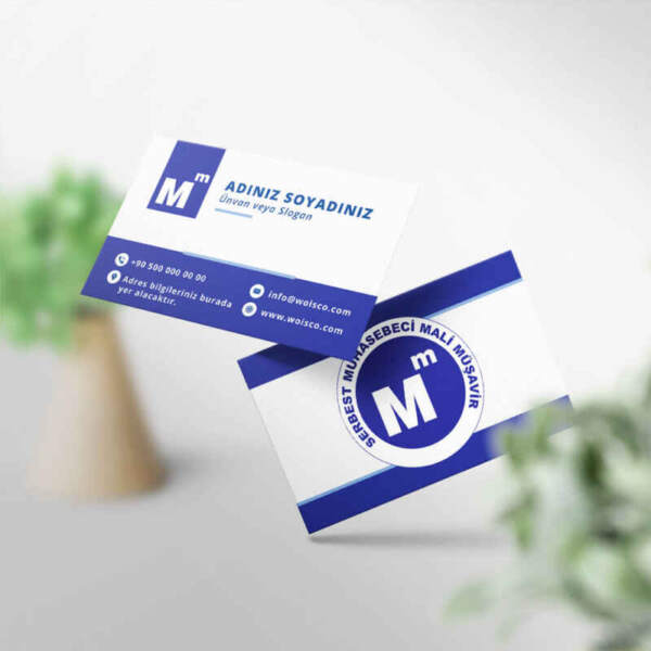 Muhasebeci Kartvizit Baskı 1000 Adet (MD: SM020)