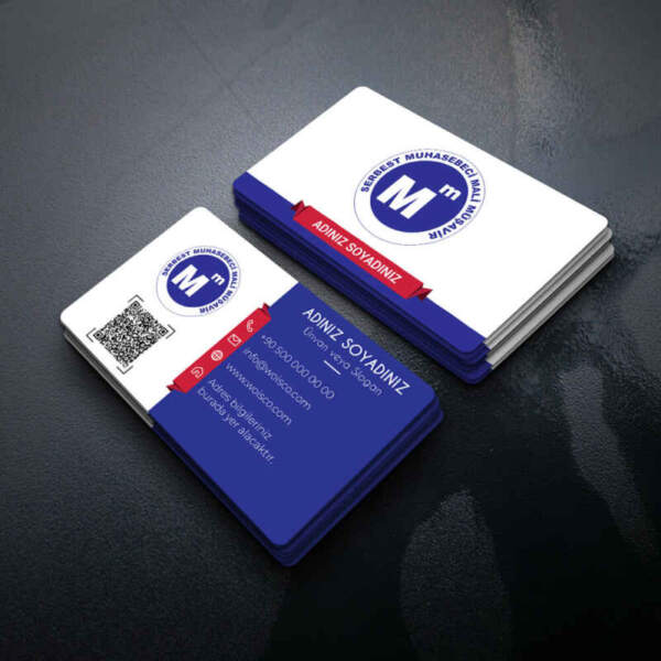 Muhasebeci Kartvizit Baskı 1000 Adet (MD: SM021)