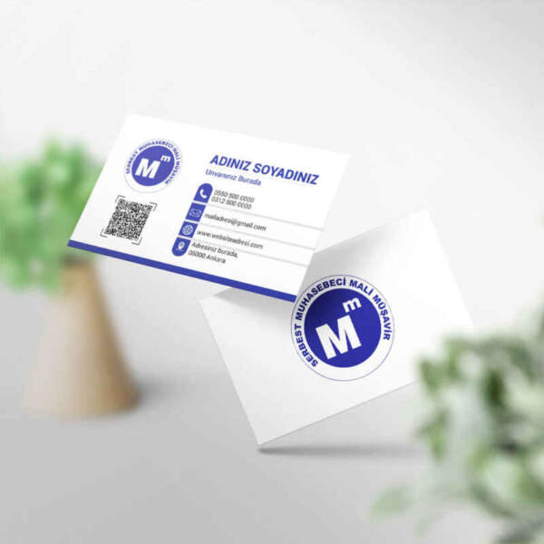 Muhasebeci Kartvizit Baskı 1000 Adet (MD: SM022)
