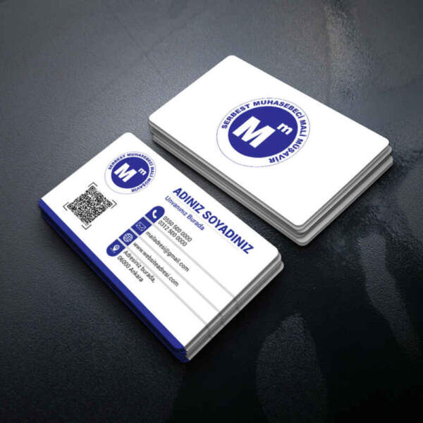 Muhasebeci Kartvizit Baskı 1000 Adet (MD: SM022)