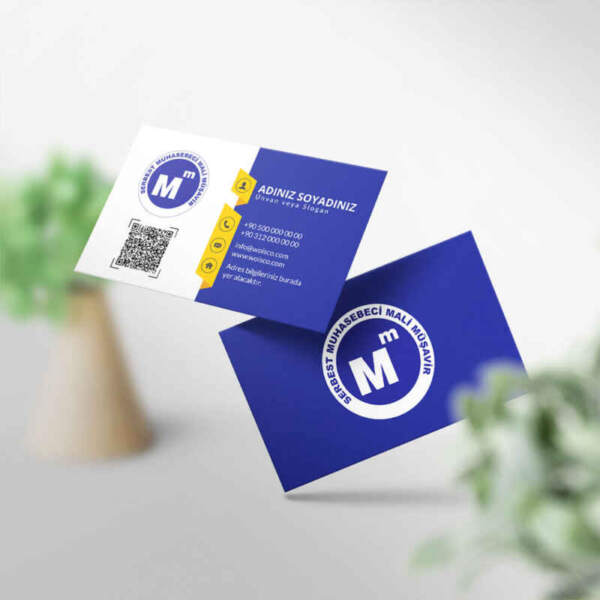 Muhasebeci Kartvizit Baskı 1000 Adet (MD: SM026)