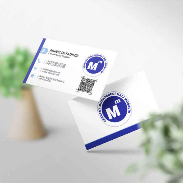 Muhasebeci Kartvizit Baskı 1000 Adet (MD: SM027)
