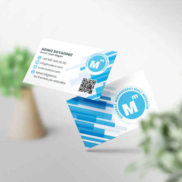 Muhasebeci Kartvizit Baskı 1000 Adet (MD: SM028)