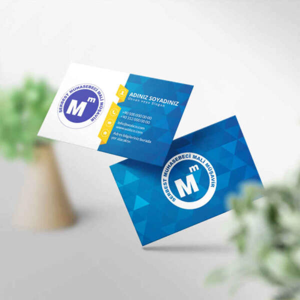 Muhasebeci Kartvizit Baskı 1000 Adet (MD: SM029)