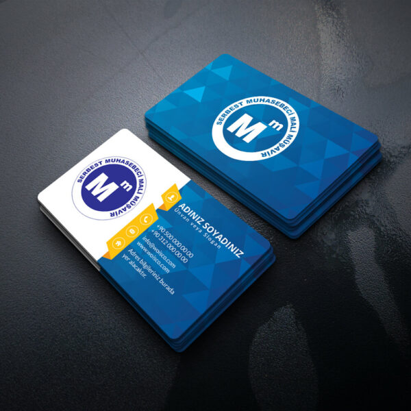 Muhasebeci Kartvizit Baskı 1000 Adet (MD: SM029)