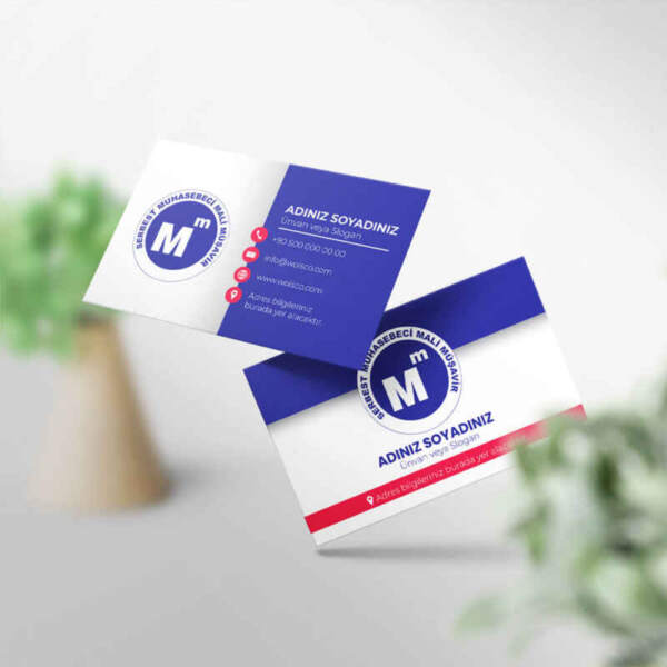 Muhasebeci Kartvizit Baskı 1000 Adet (MD: SM030)