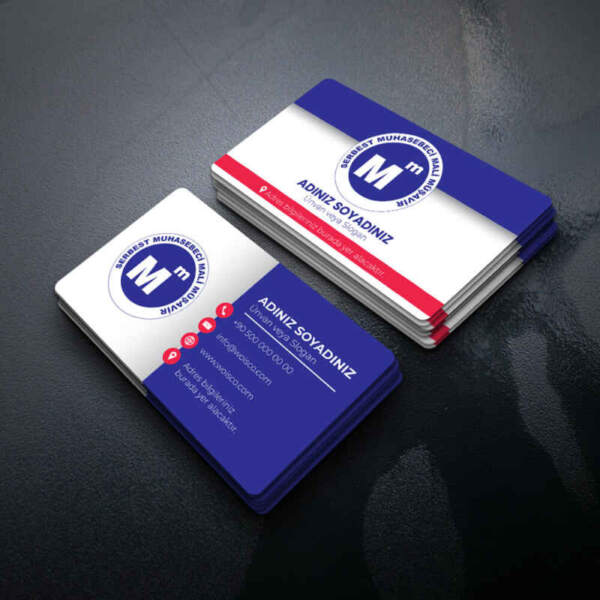 Muhasebeci Kartvizit Baskı 1000 Adet (MD: SM030)