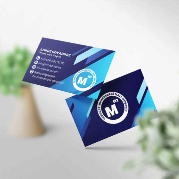 Muhasebeci Kartvizit Baskı 1000 Adet (MD: SM032)
