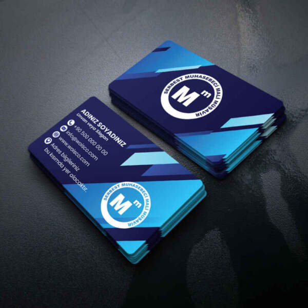 Muhasebeci Kartvizit Baskı 1000 Adet (MD: SM032)