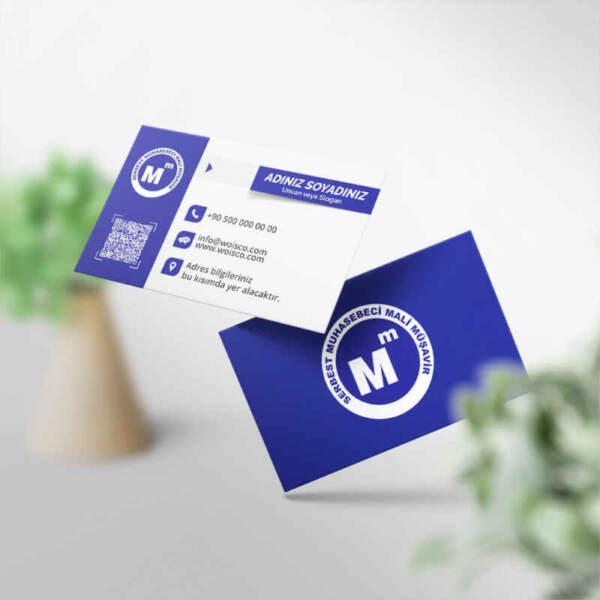 Muhasebeci Kartvizit Baskı 1000 Adet (MD: SM038)